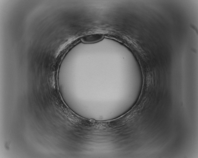 X0000100851262200807111207