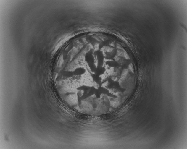 X0000100851263200807111207