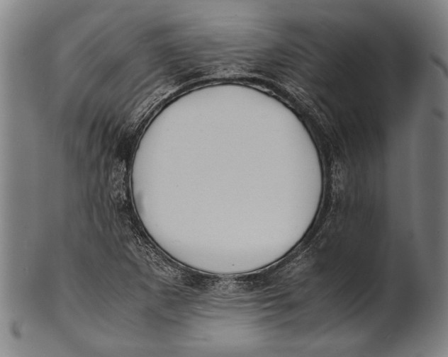 X0000100851265200807111207