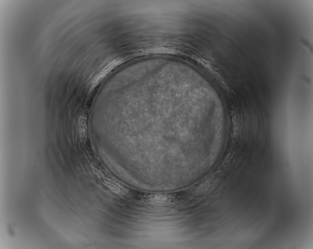 X0000100851266200807111207