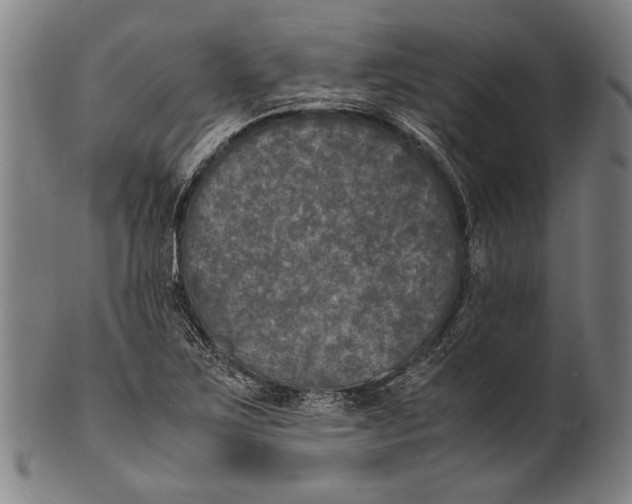 X0000100851267200807111207