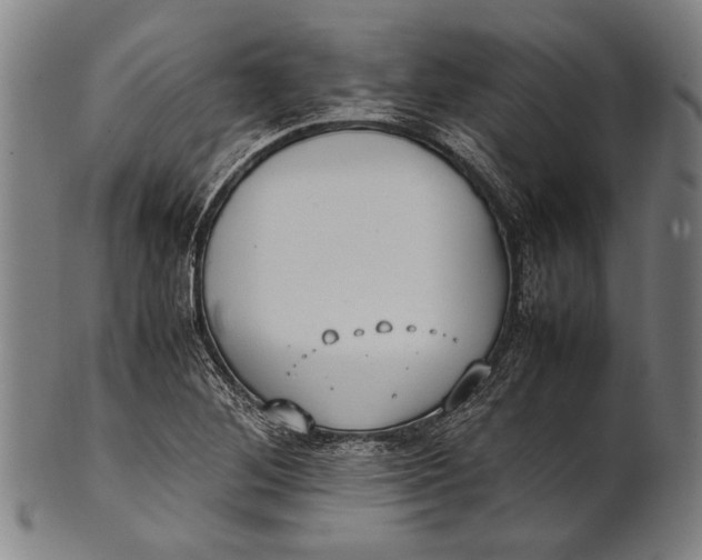 X0000100851268200807111207