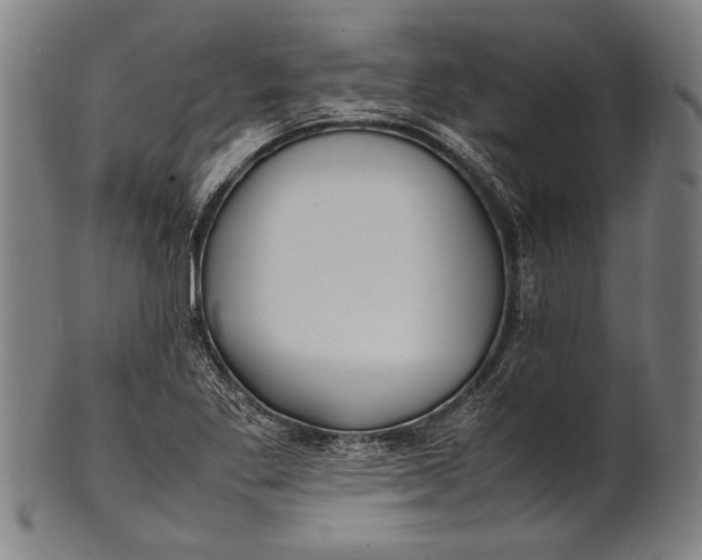 X0000100851269200807111207