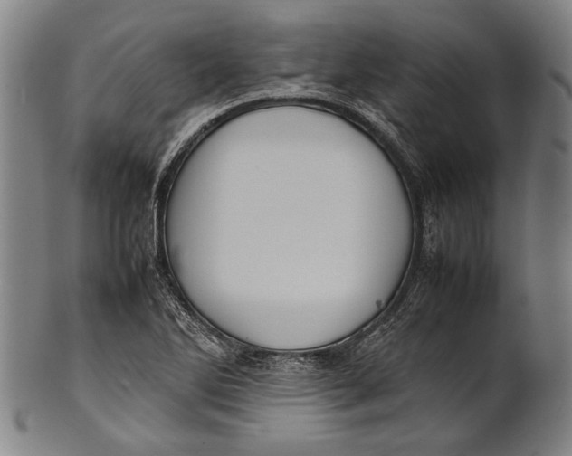 X0000100851270200807111207