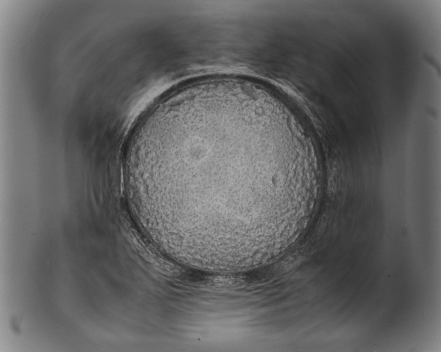 X0000100851271200807111207