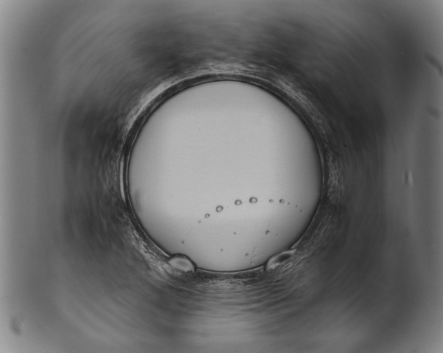 X0000100851272200807111207