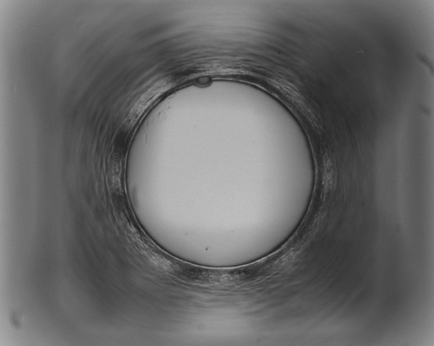 X0000100851273200807111207