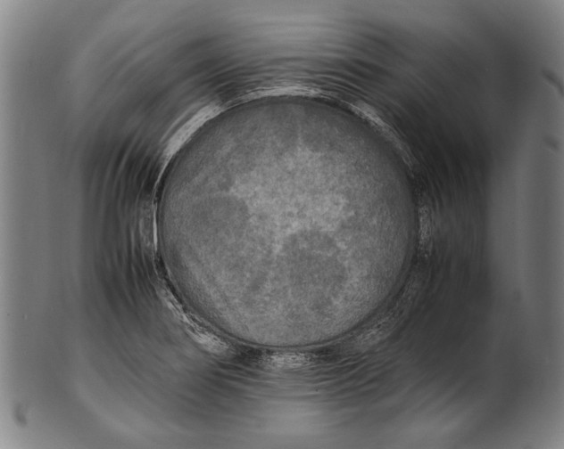 X0000100851274200807111207