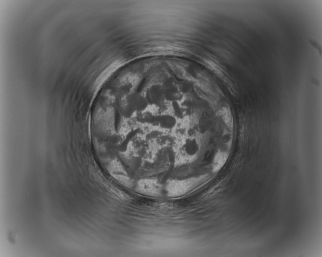 X0000100851275200807111207