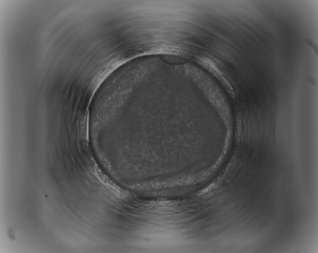 X0000100851276200807111207