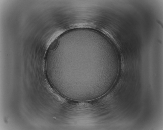 X0000100851277200807111207