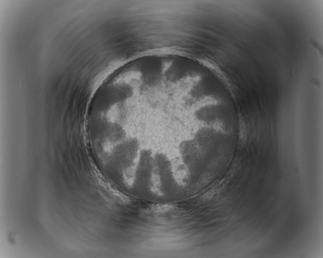 X0000100851278200807111207