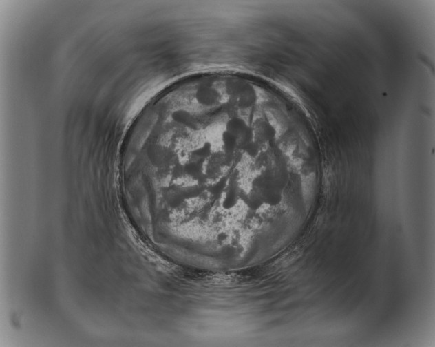 X0000100851279200807111207