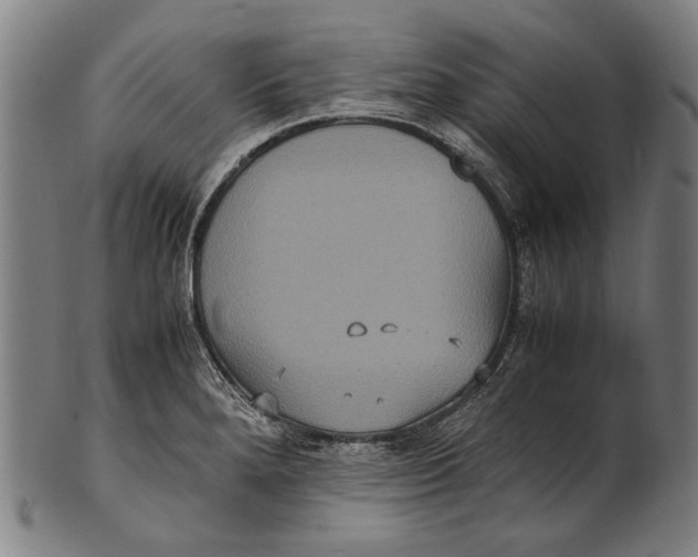 X0000100851280200807111207