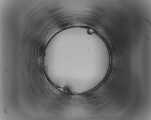 X0000100851281200807111207