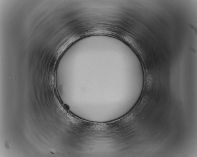 X0000100851282200807111206