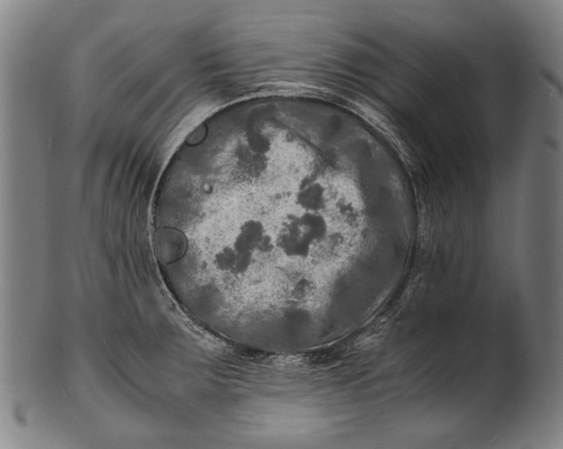 X0000100851283200807111206