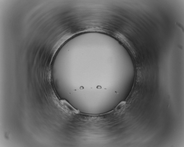 X0000100851284200807111206