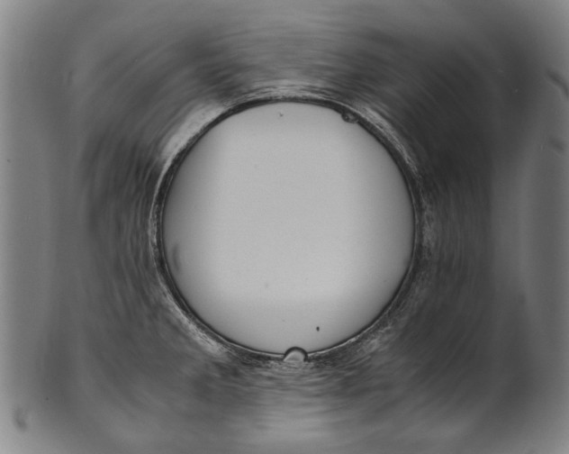 X0000100851285200807111206