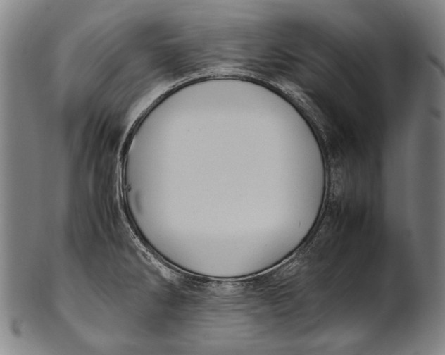 X0000100851286200807111206