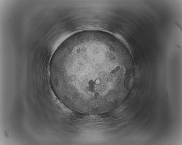 X0000100851287200807111206