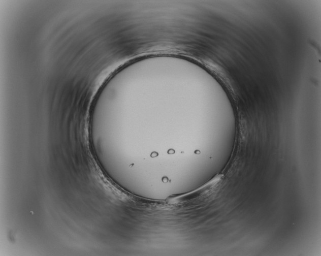 X0000100851288200807111206