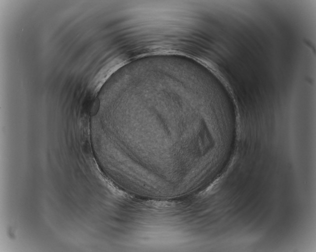 X0000100851289200807111206