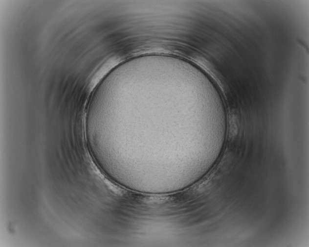 X0000100851290200807111206