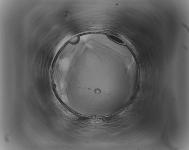 X0000100851291200807111206