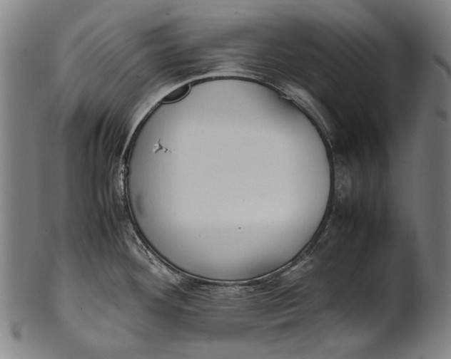 X0000100851292200807111206