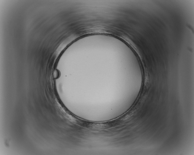 X0000100851293200807111206