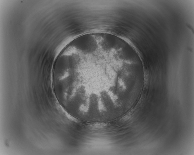 X0000100851294200807111206