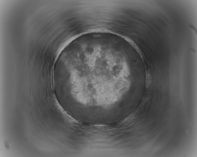 X0000100851295200807111206