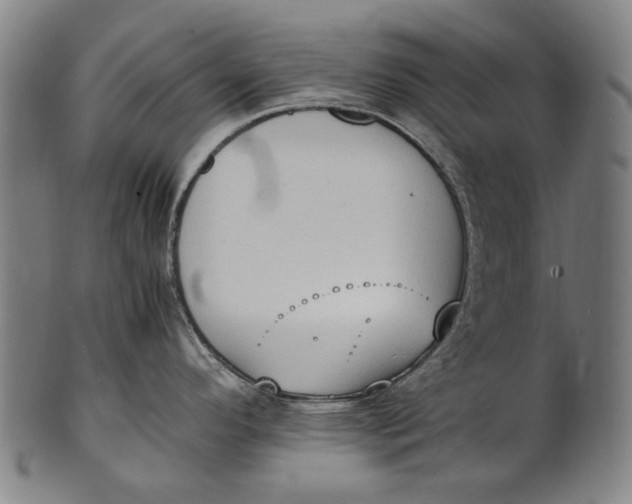 X0000100851296200807111206