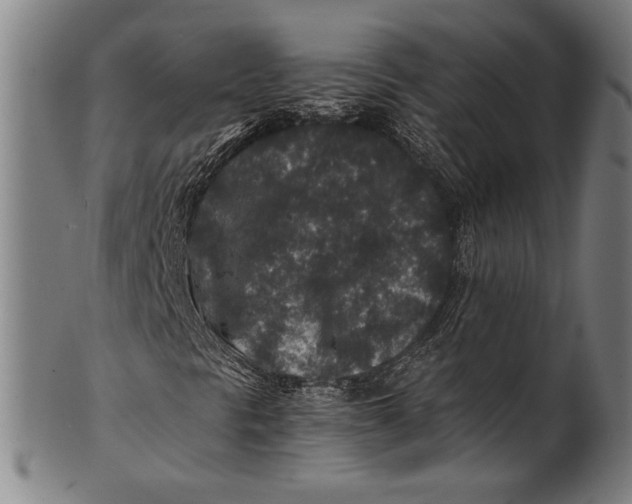 X0000100851297200807111206