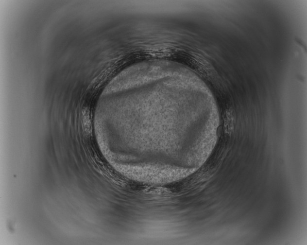 X0000100851298200807111206