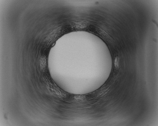 X0000100851299200807111206