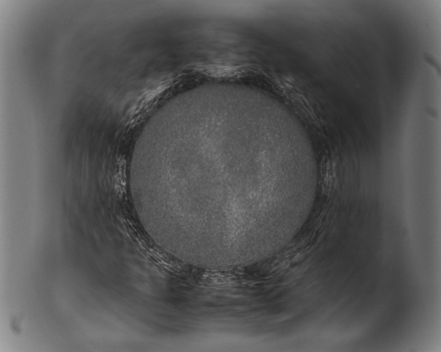 X0000100851301200807111206