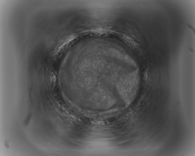 X0000100851302200807111206