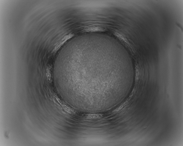 X0000100851305200807111206