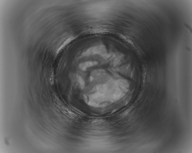 X0000100851306200807111206