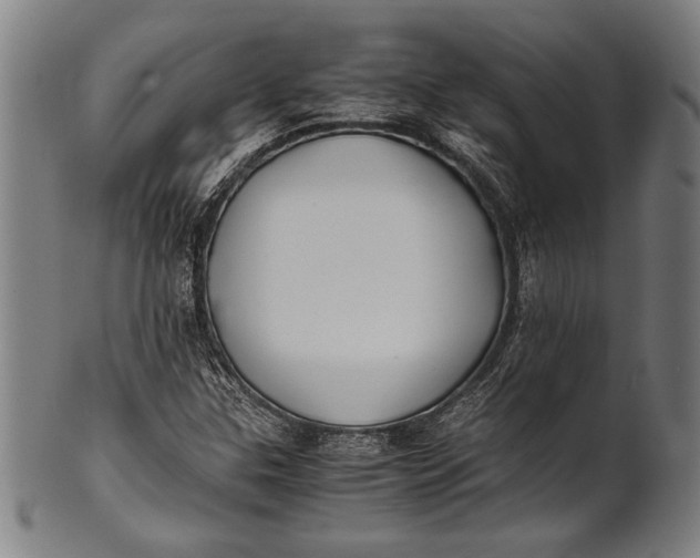 X0000100851307200807111206