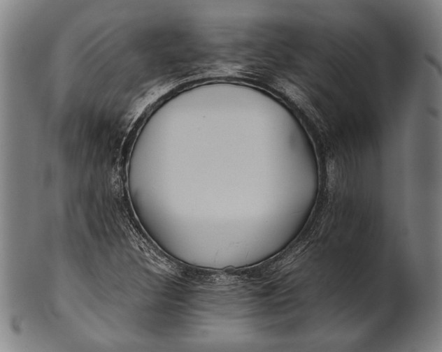 X0000100851308200807111206