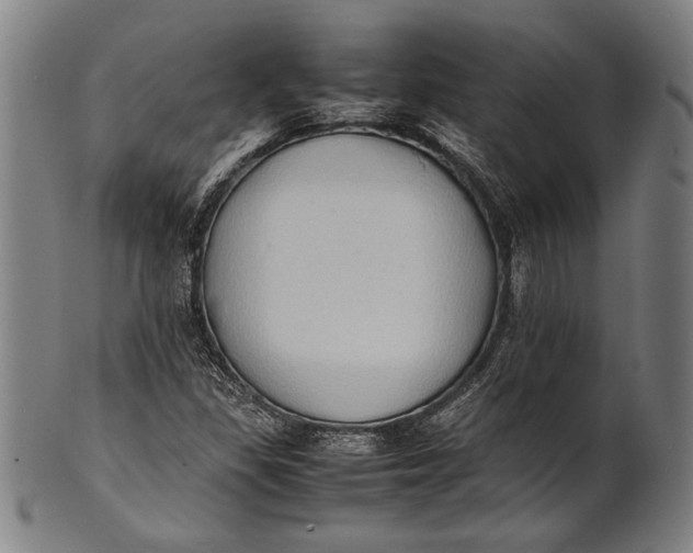 X0000100851309200807111206