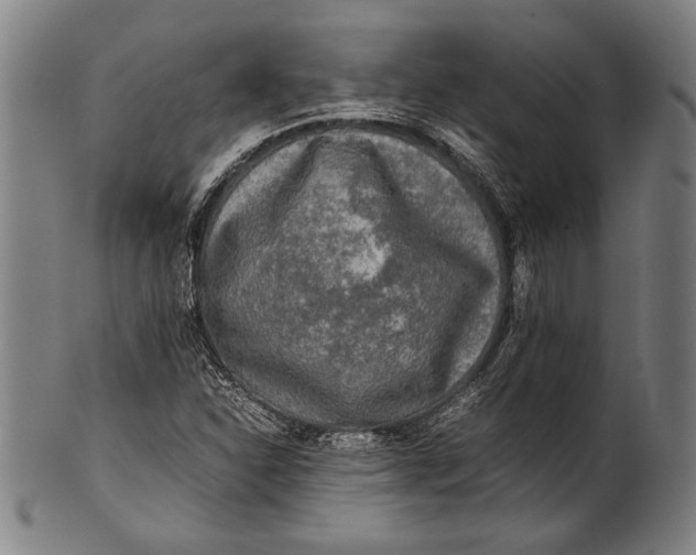 X0000100851310200807111206