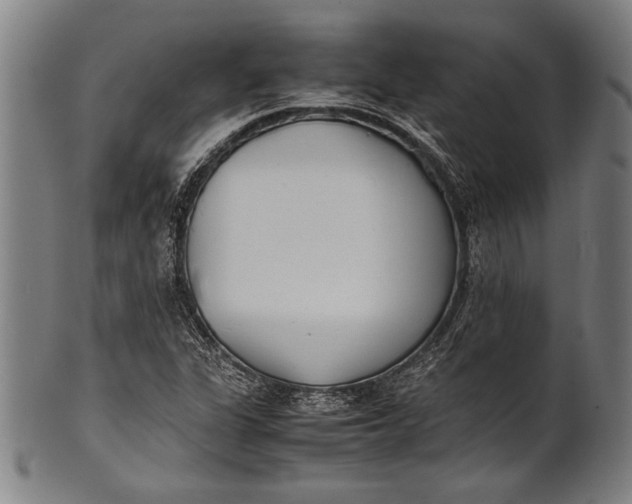 X0000100851311200807111206