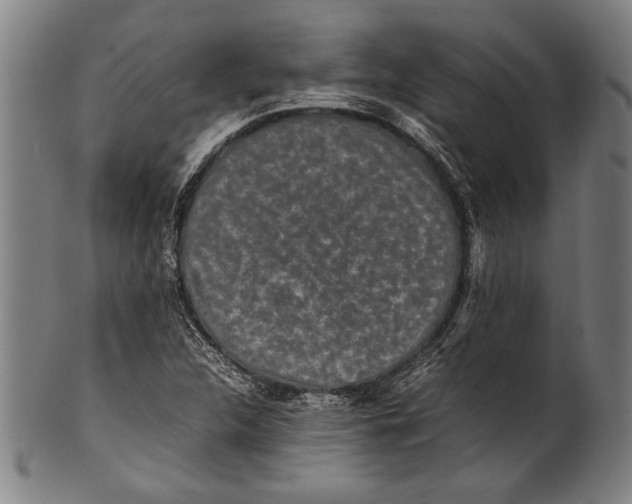 X0000100851312200807111206