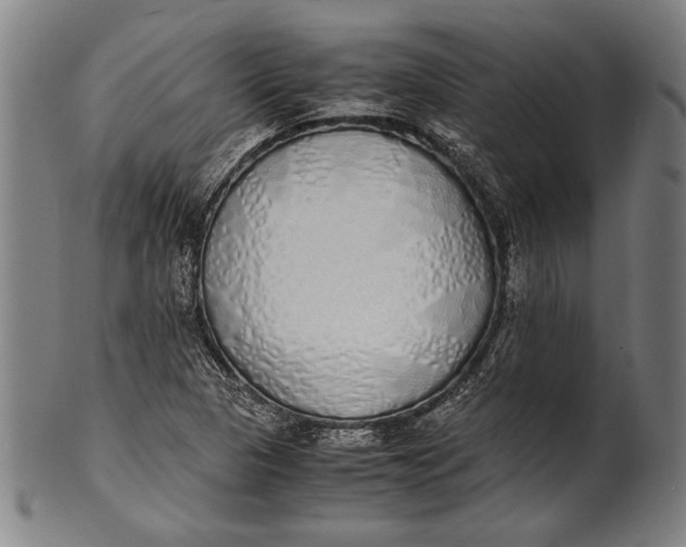 X0000100851313200807111206