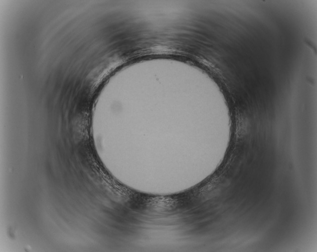 X0000100851314200807111206