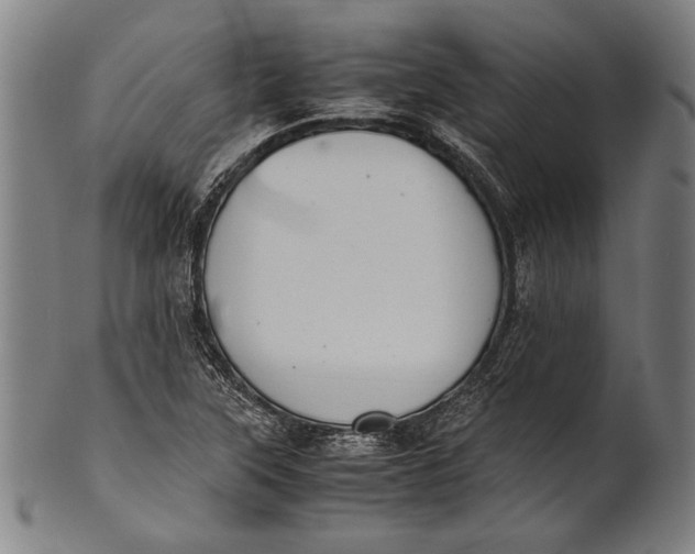 X0000100851315200807111206